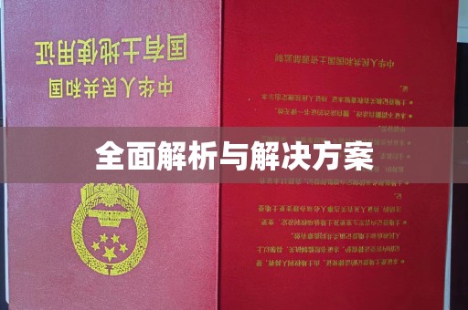 东风全面解析与解决方案